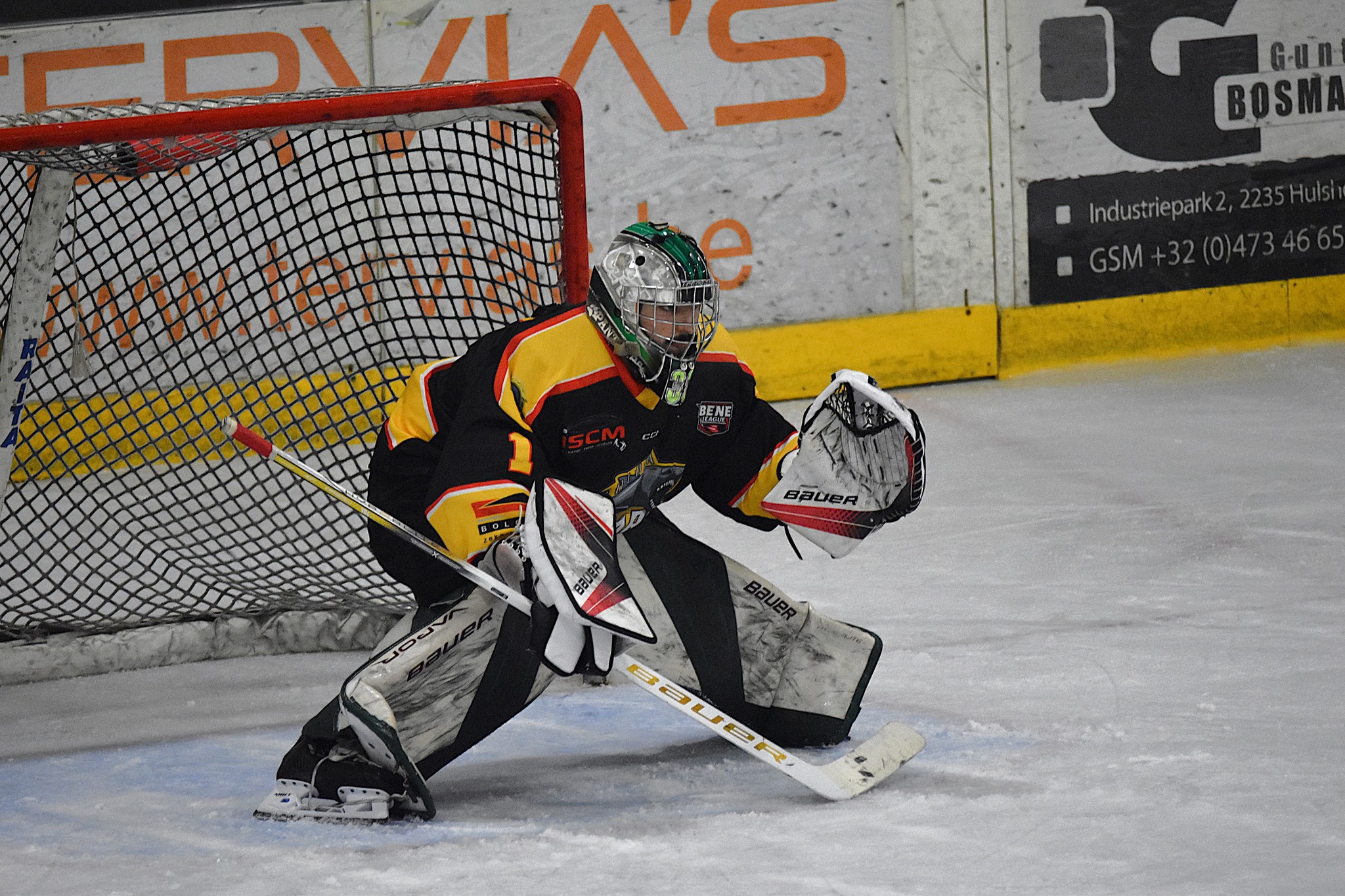 Nieuwe Canadese goalie voor de GOLDEN SHARKS !