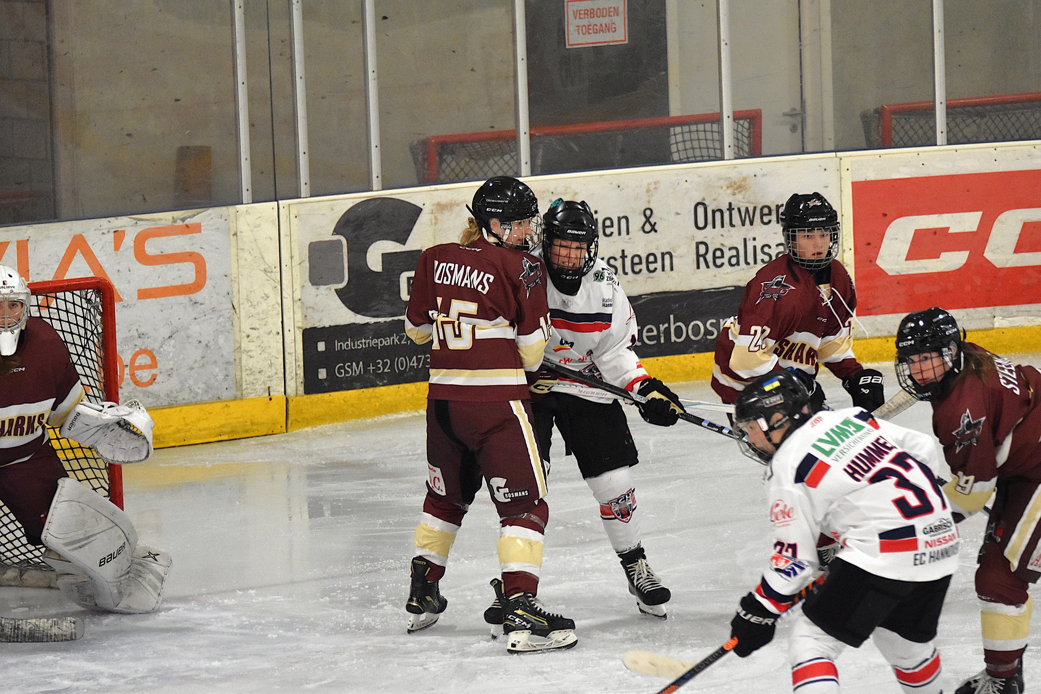 Sharks Women tonen vechtlust maar verliezen van kampioen Hannover Indians !