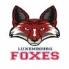 Luxembourg Foxes